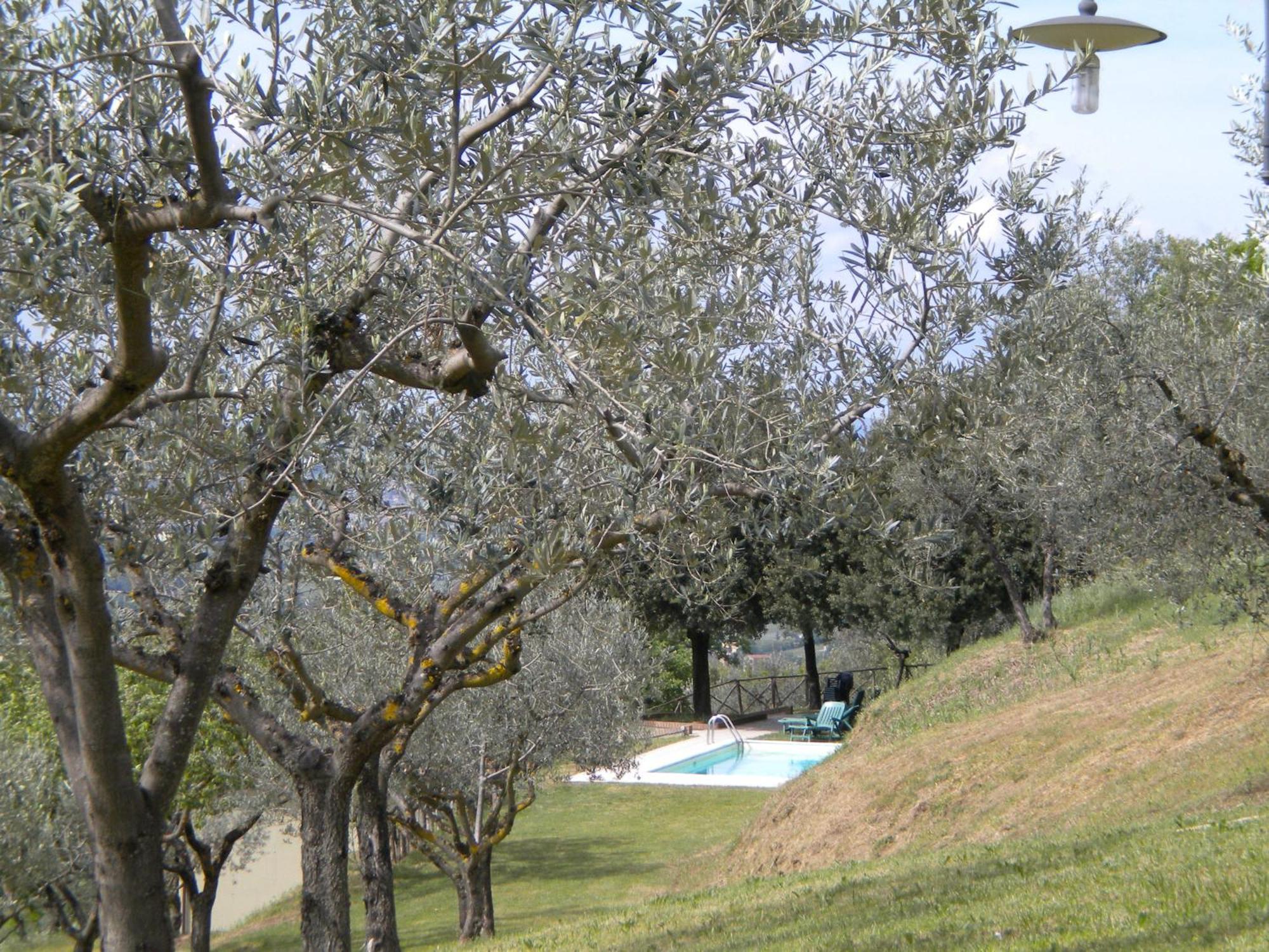 Il Poggio Delle Ginestre Guest House Torgiano Bagian luar foto