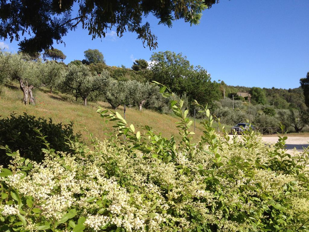 Il Poggio Delle Ginestre Guest House Torgiano Bagian luar foto