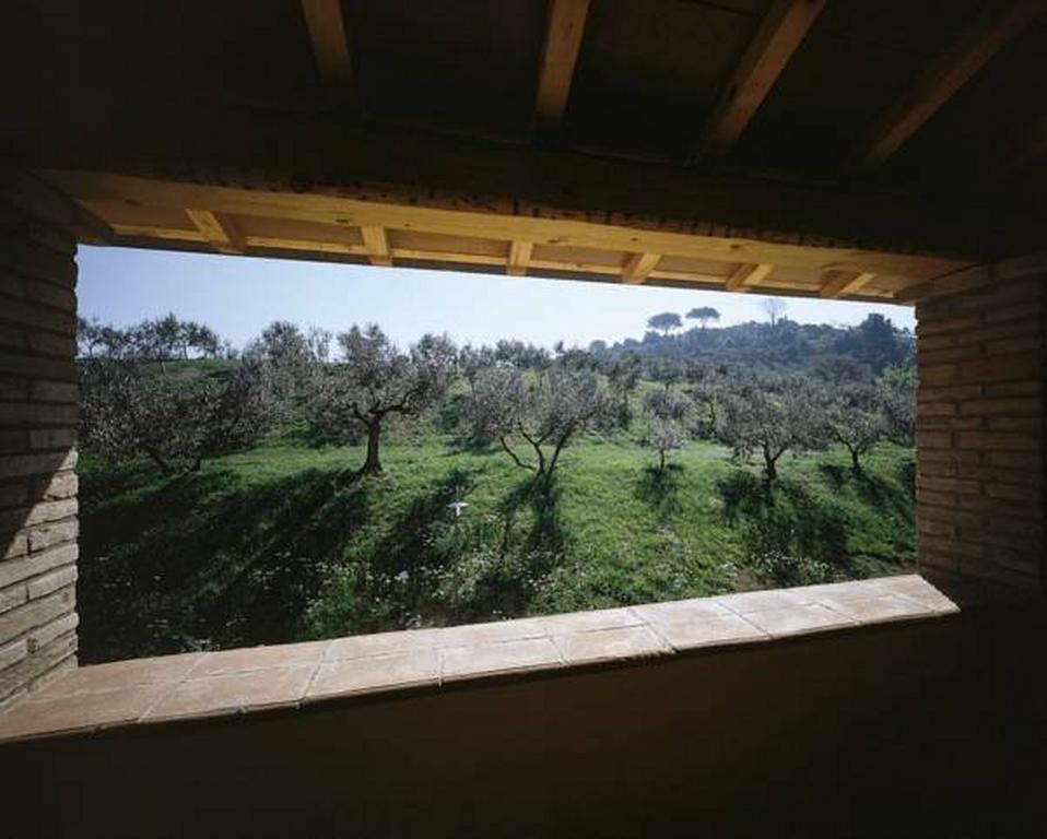 Il Poggio Delle Ginestre Guest House Torgiano Bagian luar foto