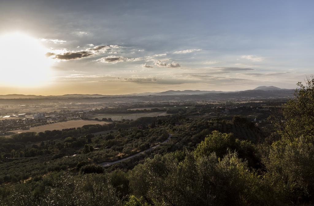 Il Poggio Delle Ginestre Guest House Torgiano Bagian luar foto